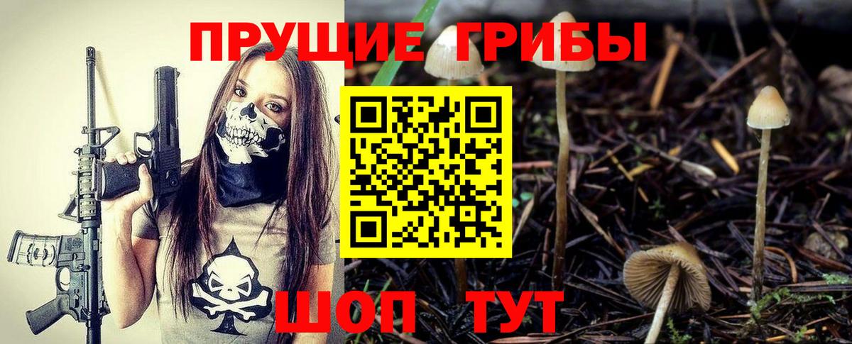 Киреевск  Псилоцибиновые грибы Psilocybe  Галлюциногенные грибы Psilocybine cubensis  Вход с VPN 